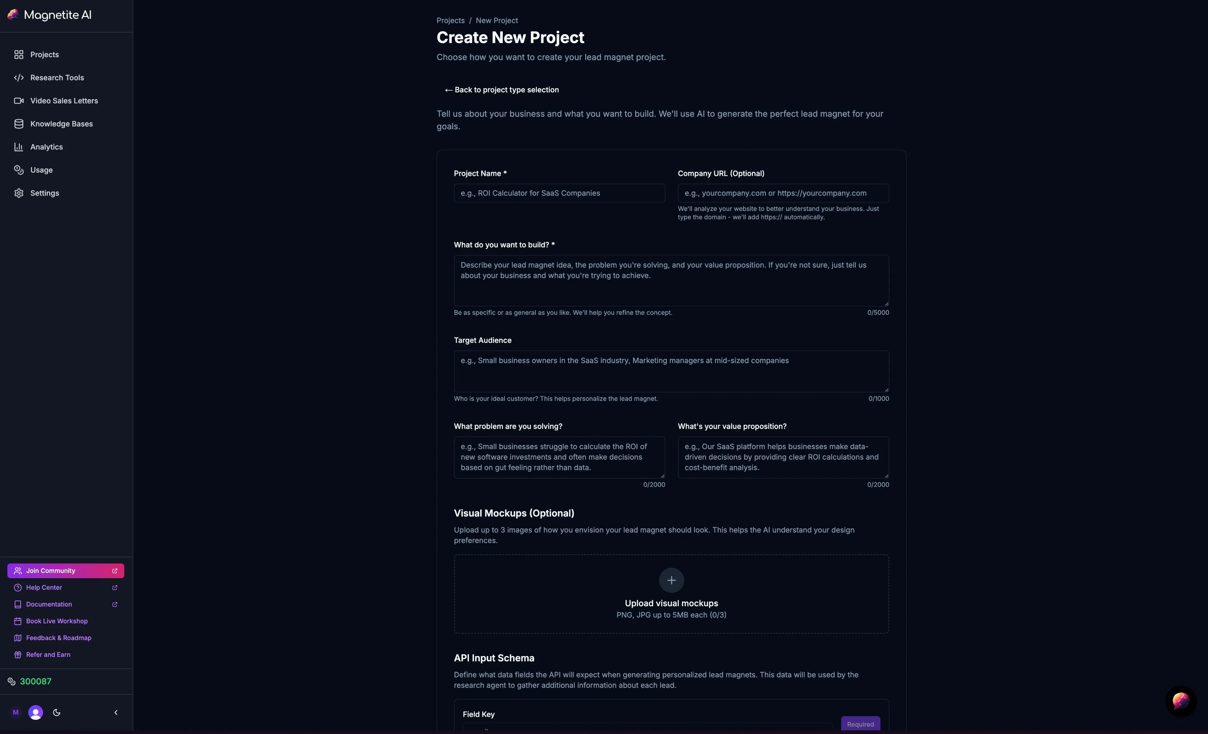Magnetite's create project screen, where a customer describes their business, audience and value proposition, and defines the API input schema the research agent works from.